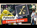 How to get Bones Easy Farming in Palworld