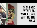 Sufjan Stevens - "The Only Thing (Demo)" (Official Lyric Video)