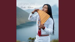 Download Despacito MP3
