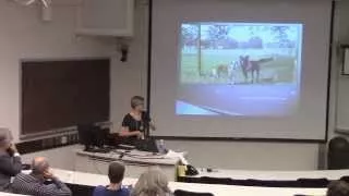 y Szymkowski Bytes to Bites My Journey from Computer Science to Veterinary Medicine