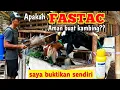 Download Lagu CARA AMPUH B4SMI KUTU PADA KAMBING || Apakah fastac aman buat kambing ??