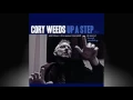 CORY WEEDS - I see your face before me.