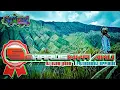 Download Lagu Dj Seharusnya Aku || Slow Bass  || PujiGhozali official
