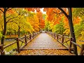 Download Lagu Beautiful Relaxing Music 🍁 Autumn Melodies for Stress Relief \u0026 Healing