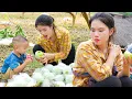 Lagu Harvesting Fresh Guavas with My Son – He Learns from Nature While Watching Me Work