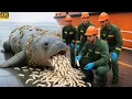 Download Lagu Rescue Team Saves Extinct Caribbean Monk Seal Covered In Seashells and Sponges 🦭🌊