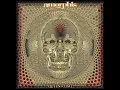 The Bee - Amorphis