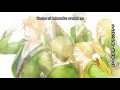 Kobukuro - Mirai (Orange Ending)