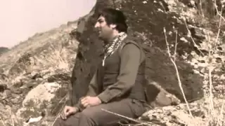                                                 دندنها