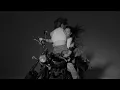 Paco Versailles - Silver Stallion (Visualizer)