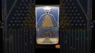 Probability Demonstration The Galton Board 