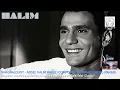 Shaghalouny (Abdel Halim Hafez) - Flugelhorn Cover/Trumpet Backing & Instrument Arrangement