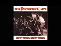 Download Lagu The Dictators - Live New York 1981 (Full Album 1989)