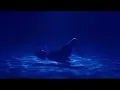 Download Lagu phantogram - black out days (sped up) [future islands remix]