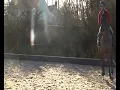 *RAW* Lusty Lesson with Laura Renwick for Your Horse Mag Pt. 2 01/02/12