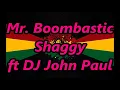 Mr. Boombastic (REGGAE) - Shaggy | DJ John Paul