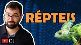 Répteis - Aula 30 - Módulo VI: Zoologia | Prof. Gui