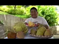Cempedak Fruit vs Jackfruit vs Marang vs Durian