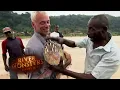 Catching A PRIZED Goliath Tigerfish TIGERFISH River Monsters