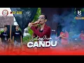 Download Lagu CATUR ARUM - CANDU || One Pro X JPS Audio [ Live ] PEMUDA GAZHELLA BERSATU