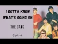 Download Lagu I GOTTA KNOW WHAT'S GOING ON - THE CATS (Lyrics) | @letssingwithme23