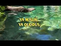 Download Lagu ya Malik ya Quddus