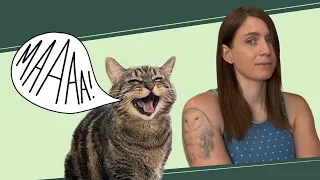 Penny sings, tries to be vicious and she's got no legs?!