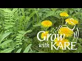 Grow with KARE What weeds say about your soil