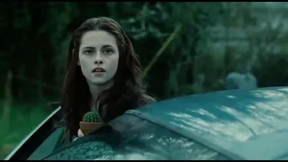 اغنية كردية مترجمة للعربية  يا وردتي                                               دندنها