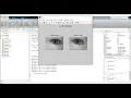 Iris Recognition using Convolutional Neural Network