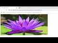 Magnify image with Javascript Lesson 9
