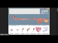 Digestive System Gizmo Introduction