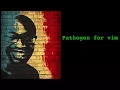 Pathogen for Vim