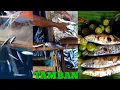Download Lagu CATCH AND COOK, TAMBAN NET FISHING,(Ta-an it pokot) sibale island (ROMBLON)