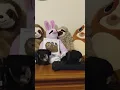 My awesome Sloth collection