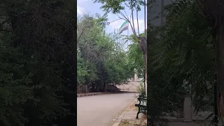 بتسمع نصيحة مني 