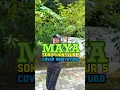Download Lagu MAYA Song Mansyur S Cover ArmyAyu68#shortsvideos#covermusik#coverbyarmyayu68