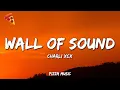 Lagu Charli xcx - Wall of Sound (Lyrics)