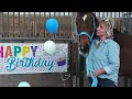 Serving People Pets of Delaware County 2025
