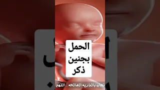 كيف يمكن الحمل بولد 