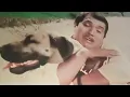 Download Lagu चल र वाघ्या रडू नको | Maza Maza Mhaneet Hoto | Tumcha Aamcha Jamla Movie | Dada Kondke good quality