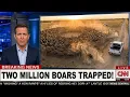 Texas Farmers Built a BRILLIANT Trap That Defeated 2 Million Wild Boars