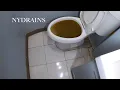 Clogged Drain