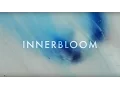 Download Lagu RÜFÜS DU SOL ●● Innerbloom (Official Video)