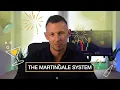 Does Martingale strategy actually work The Surprising