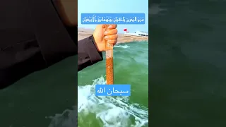 م ر ج الب حر ين ي لتق ي ان ب ي ن ه م ا ب ر ز خ ل ا ي ب غ ي ان تلاوة هادئة قرآن تلاوة خاشعة  م ر ج الب حر ين ي لتق ي ان ب ي ن ه م ا ب ر ز خ ل ا ي ب غ ي ان تلاوة هادئة قرآن تلاوة خاشعة