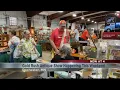 Gold Rush Antique Show and Market at Graham Park in Rochester