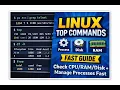 Linux Monitoring Basics Check Disk Manage Processes Fast