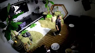 Prueba