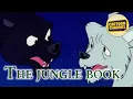 Lagu The Jungle Book // Episode 11 // Animated Series for Kids // Adventure Cartoon // Free Toons